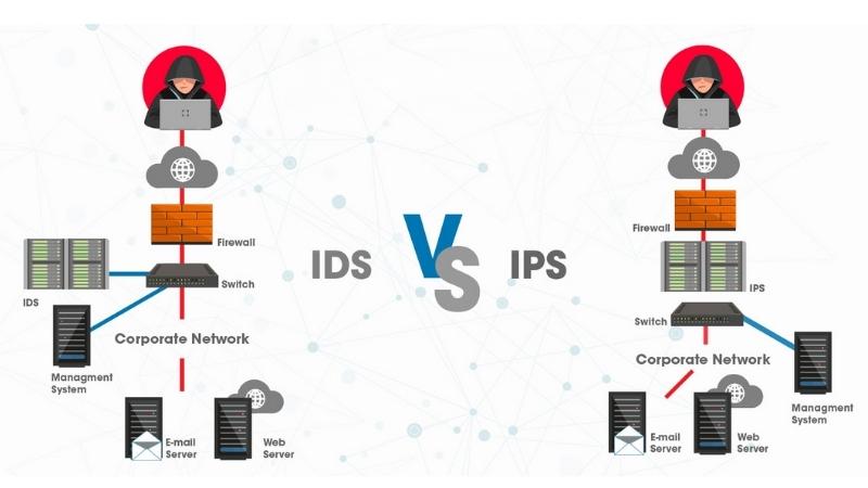 Hệ Thống Phát Hiện và Ngăn Chặn Xâm Nhập: Bảo Vệ Mạng Lưới Doanh Nghiệp